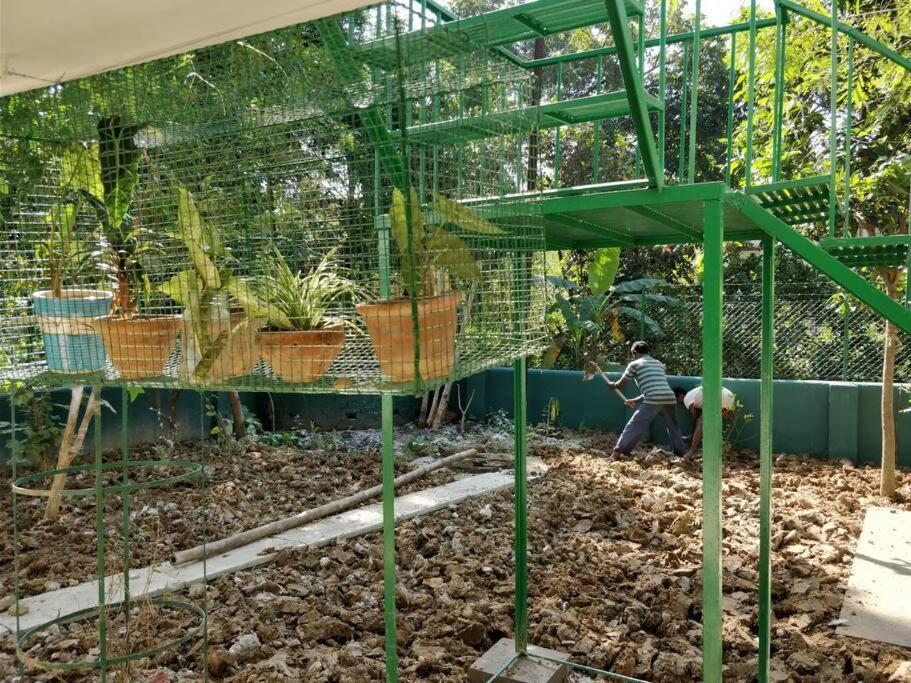 Bhitey Homestay Simantapally / Shantiniketan Exteriör bild